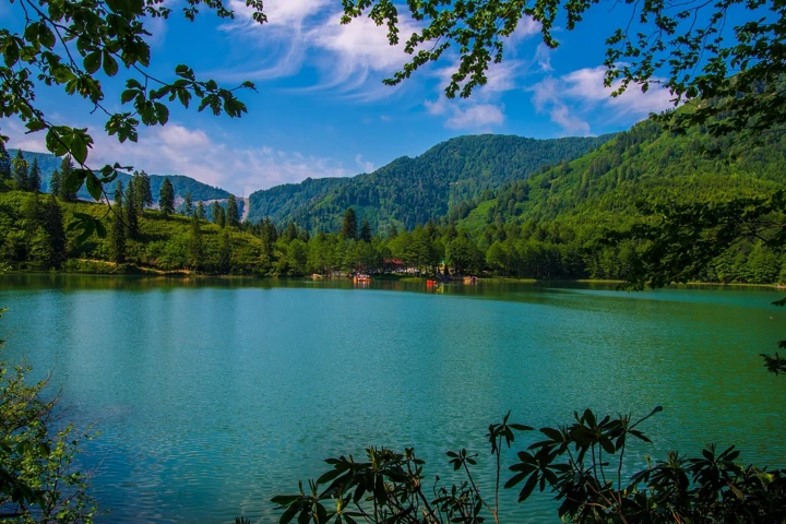 Artvin